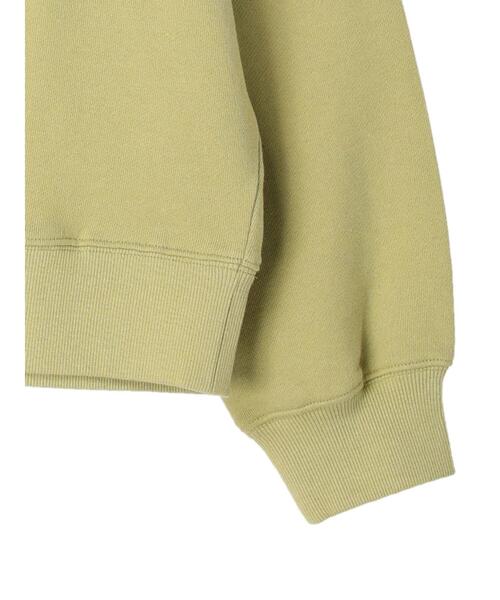 Green　Parks（グリーンパークス）の「ロゴ裏毛トレーナー＊（スウェット・レディース・グレー系その他/グレー/ミント・FREE）」の14枚目の写真