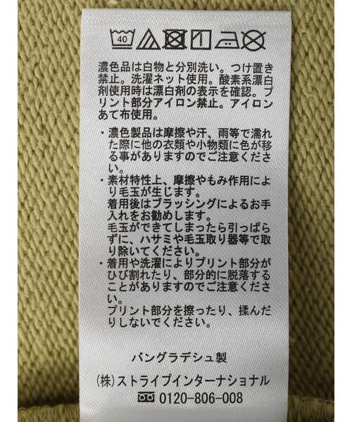 Green　Parks（グリーンパークス）の「ロゴ裏毛トレーナー＊（スウェット・レディース・グレー系その他/グレー/ミント・FREE）」の10枚目の写真