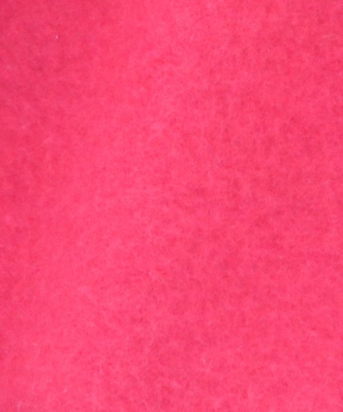 XLARGE（エクストララージ）の「XLARGE/ナンバリングスウェット（ペットウェア・メンズ・レッド/ブラック・2L/M/XS/L/S/3L）」の15枚目の写真