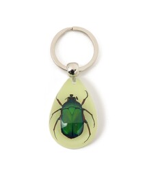REAL BUG / DROP KEY CHAIN GLOW IN THE DARK