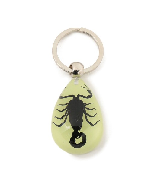 bpr BEAMS(ビーピーアール ビームス )の「REAL BUG / DROP KEY CHAIN GLOW IN THE DARK(キーホルダー・レディース・その他1/その他2/その他3/その他・ONE SIZE)」の2枚目の写真