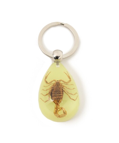 bpr BEAMS(ビーピーアール ビームス )の「REAL BUG / DROP KEY CHAIN GLOW IN THE DARK(キーホルダー・レディース・その他1/その他2/その他3/その他・ONE SIZE)」の3枚目の写真