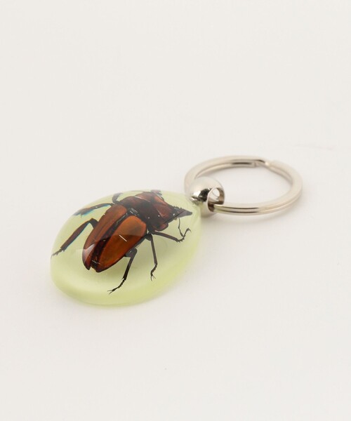 bpr BEAMS(ビーピーアール ビームス )の「REAL BUG / DROP KEY CHAIN GLOW IN THE DARK(キーホルダー・レディース・その他1/その他2/その他3/その他・ONE SIZE)」の6枚目の写真