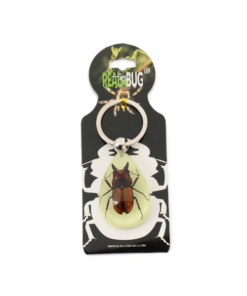 bpr BEAMS(ビーピーアール ビームス )の「REAL BUG / DROP KEY CHAIN GLOW IN THE DARK(キーホルダー・レディース・その他1/その他2/その他3/その他・ONE SIZE)」の7枚目の写真