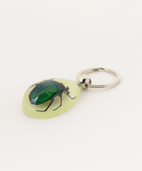 bpr BEAMS(ビーピーアール ビームス )の「REAL BUG / DROP KEY CHAIN GLOW IN THE DARK(キーホルダー・レディース・その他1/その他2/その他3/その他・ONE SIZE)」の9枚目の写真