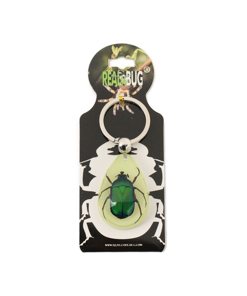 bpr BEAMS(ビーピーアール ビームス )の「REAL BUG / DROP KEY CHAIN GLOW IN THE DARK(キーホルダー・レディース・その他1/その他2/その他3/その他・ONE SIZE)」の10枚目の写真