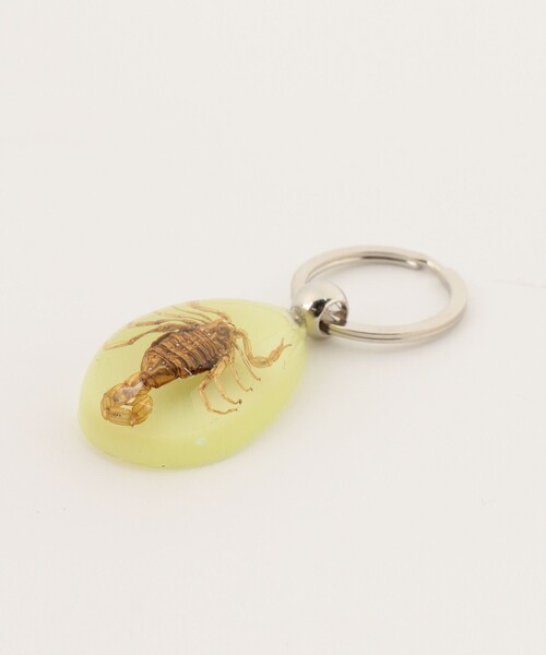 bpr BEAMS(ビーピーアール ビームス )の「REAL BUG / DROP KEY CHAIN GLOW IN THE DARK(キーホルダー・レディース・その他1/その他2/その他3/その他・ONE SIZE)」の12枚目の写真