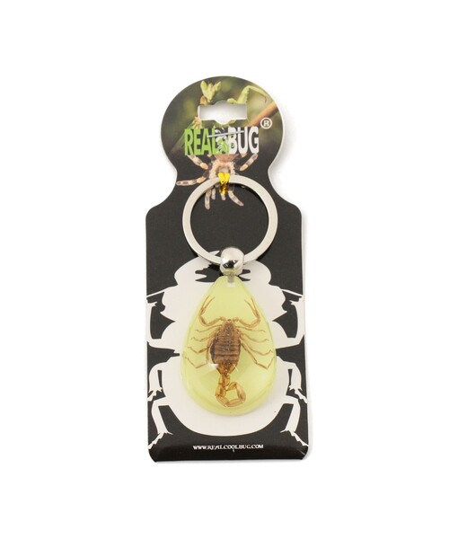 bpr BEAMS(ビーピーアール ビームス )の「REAL BUG / DROP KEY CHAIN GLOW IN THE DARK(キーホルダー・レディース・その他1/その他2/その他3/その他・ONE SIZE)」の13枚目の写真