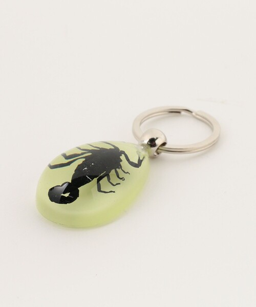 bpr BEAMS(ビーピーアール ビームス )の「REAL BUG / DROP KEY CHAIN GLOW IN THE DARK(キーホルダー・レディース・その他1/その他2/その他3/その他・ONE SIZE)」の15枚目の写真