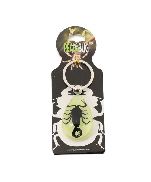 bpr BEAMS(ビーピーアール ビームス )の「REAL BUG / DROP KEY CHAIN GLOW IN THE DARK(キーホルダー・レディース・その他1/その他2/その他3/その他・ONE SIZE)」の16枚目の写真