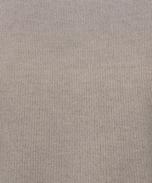 Gabardine K.T（ギャバジンケーティー）の「ラメテレコ タンクトップ（Tシャツ/カットソー・レディース・ベージュ/チャコールグレー/ライトグレー・9号/11号）」の19枚目の写真