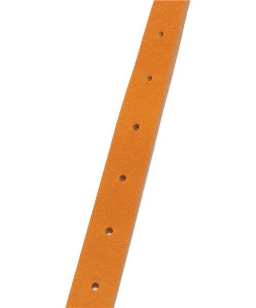 LOUNGEDRESS（ラウンジドレス）の「ゴールドパーツベルト（ベルト・レディース・グリーン/キャメル・ﾌﾘ-）」の4枚目の写真