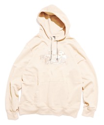 THE NORTH FACE/ザ・ノースフェイス M HALF DOME PO HDY ロゴスウェット プルオーバーパーカー 裏起毛