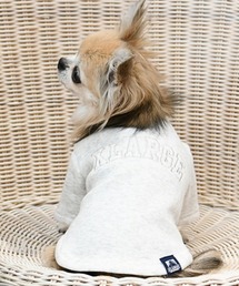 XLARGE | XLARGE/カレッジロゴスウェット(ペットウェア)