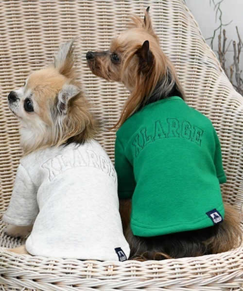 XLARGE（エクストララージ）の「XLARGE/カレッジロゴスウェット（ペットウェア・メンズ・グリーン/ホワイト・3L/M/XS/2L/S/L）」の7枚目の写真