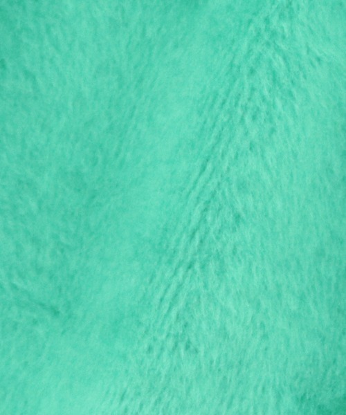 XLARGE（エクストララージ）の「XLARGE/カレッジロゴスウェット（ペットウェア・メンズ・グリーン/ホワイト・3L/M/XS/2L/S/L）」の5枚目の写真