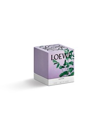 LOEWE Perfumes（ロエベ パルファム）の「ロエベ キャンドル リコリス