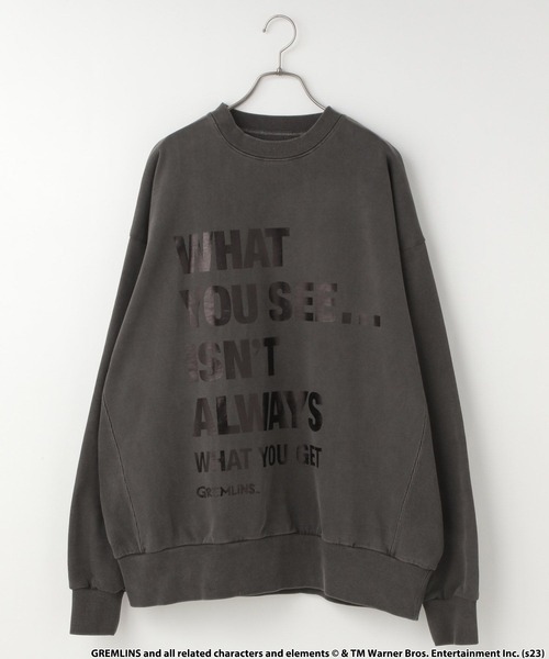 LOWRYS FARM（ローリーズファーム）の「ギズモＢＩＧウラケ 　991128（スウェット・レディース・その他/その他1・FREE）」の11枚目の写真