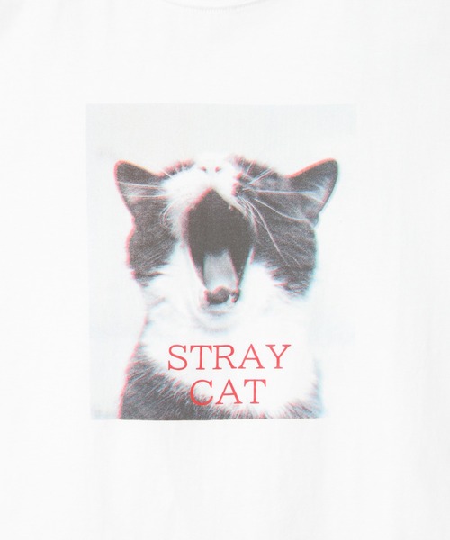 notch.(ノッチ)の「ベア天竺 キャットプリントTシャツ(Tシャツ/カットソー・レディース・ブラック/その他2・M)」の10枚目の写真