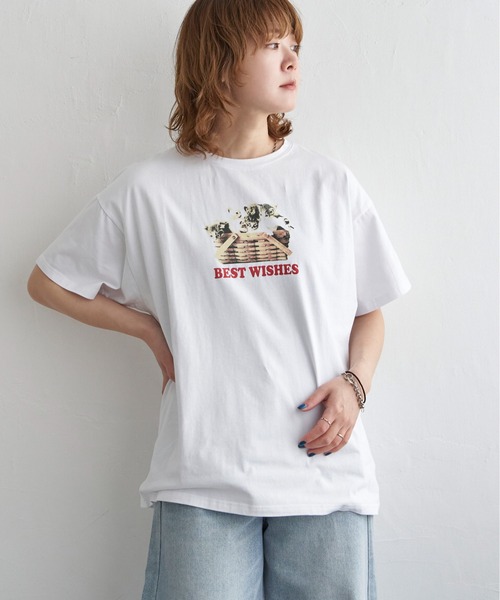 notch.(ノッチ)の「ベア天竺 キャットプリントTシャツ(Tシャツ/カットソー・レディース・ブラック/その他2・M)」の16枚目の写真