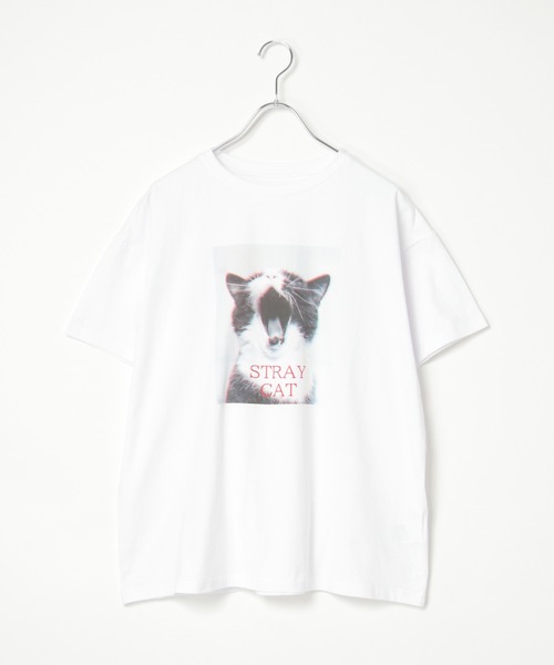 notch.(ノッチ)の「ベア天竺 キャットプリントTシャツ(Tシャツ/カットソー・レディース・ブラック/その他2・M)」の21枚目の写真