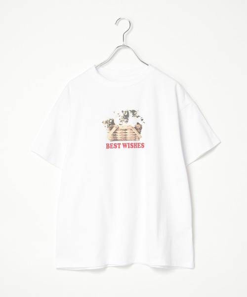 notch.(ノッチ)の「ベア天竺 キャットプリントTシャツ(Tシャツ/カットソー・レディース・ブラック/その他2・M)」の22枚目の写真
