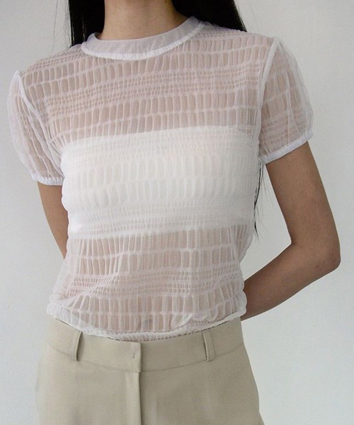 ReRe(リリ)の「シアー格子メッシュトップス(Tシャツ/カットソー・レディース・ホワイト/ブルー/ベージュ/ブラック・FREE)」の1枚目の写真