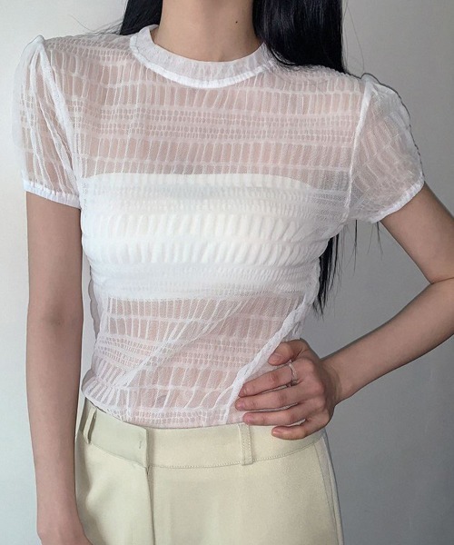 ReRe(リリ)の「シアー格子メッシュトップス(Tシャツ/カットソー・レディース・ホワイト/ブルー/ベージュ/ブラック・FREE)」の5枚目の写真
