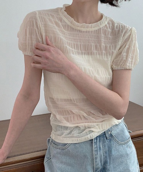 ReRe(リリ)の「シアー格子メッシュトップス(Tシャツ/カットソー・レディース・ホワイト/ブルー/ベージュ/ブラック・FREE)」の10枚目の写真