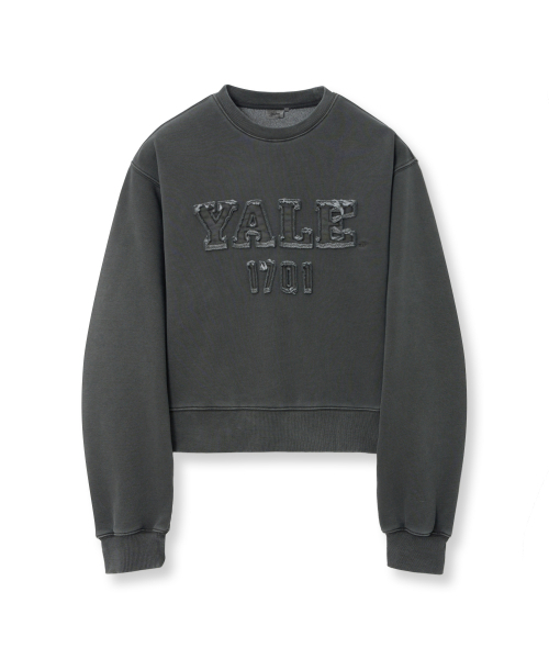 YALE(イェール)の「ウィメンズピグメントアプリケクロップスウェットシャツ_チャコール(スウェット・レディース・その他・SMALL/MEDIUM)」の2枚目の写真