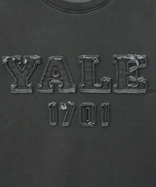 YALE(イェール)の「ウィメンズピグメントアプリケクロップスウェットシャツ_チャコール(スウェット・レディース・その他・SMALL/MEDIUM)」の6枚目の写真