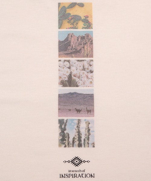 チチカカ（チチカカ）の「バックラインフォトＴシャツ（Tシャツ/カットソー・レディース・ホワイト/ブルー・FREE）」の12枚目の写真