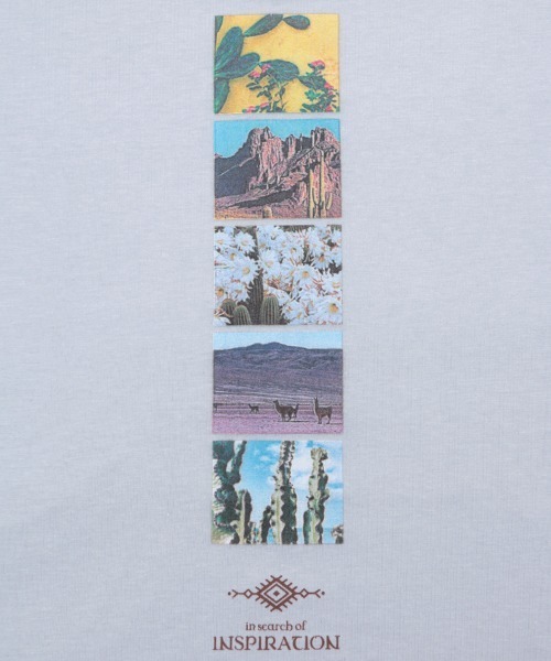 チチカカ（チチカカ）の「バックラインフォトＴシャツ（Tシャツ/カットソー・レディース・ホワイト/ブルー・FREE）」の13枚目の写真