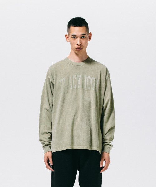 ROTTWEILER(ロットワイラー)の「PIGMENT BIG B.D LS TEE(Tシャツ/カットソー・メンズ・チャコールグレー/ベージュ・XL/L/S/M)」の2枚目の写真