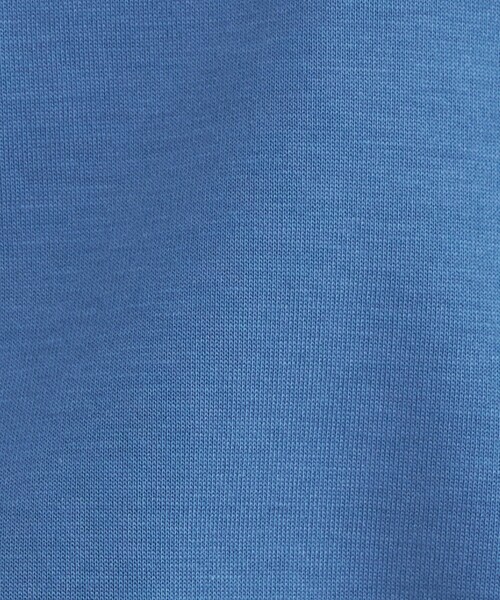 green label relaxing(グリーンレーベルリラクシング)の「グロッシー フレンチスリーブ Tシャツ(Tシャツ/カットソー・レディース・ブラック/オフホワイト/オレンジ/その他1/コバルトブルー・40/38)」の20枚目の写真