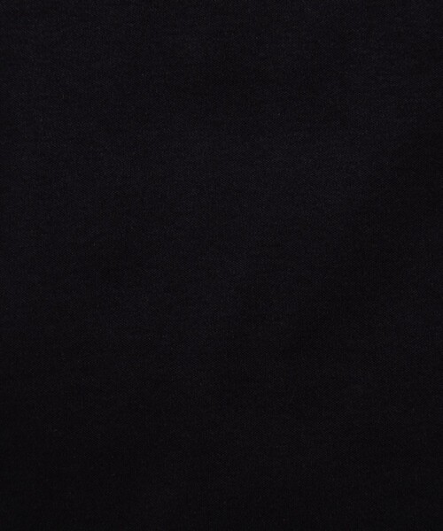 NOLLEY’S（ノーリーズ）の「ポロ衿プルオーバーカットソー（Tシャツ/カットソー・レディース・ベージュ/ブラック/ボルドー・38）」の14枚目の写真