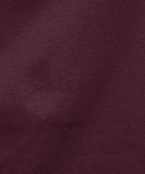 NOLLEY’S（ノーリーズ）の「ポロ衿プルオーバーカットソー（Tシャツ/カットソー・レディース・ベージュ/ブラック/ボルドー・38）」の15枚目の写真