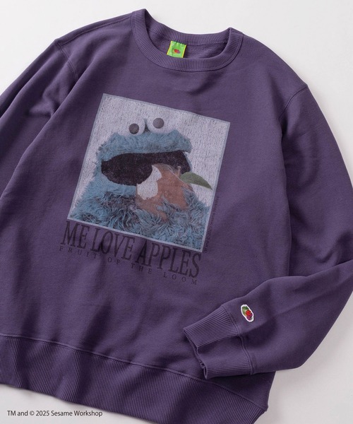 FRUIT OF THE LOOM（フルーツオブザルーム）の「【73】【Fruit of the Loom/フルーツオブザルーム】SESAMI STREETコラボ  キャラクターデザイン 裏毛スウェット（スウェット・メンズ・ブラック系その他/グレー/ブルー/ミント/パープル/ブラウン/アイボリー/ブラック・S/M/L）」の8枚目の写真