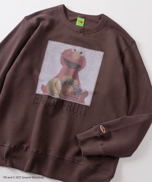 FRUIT OF THE LOOM（フルーツオブザルーム）の「【73】【Fruit of the Loom/フルーツオブザルーム】SESAMI STREETコラボ  キャラクターデザイン 裏毛スウェット（スウェット・メンズ・ブラック系その他/グレー/ブルー/ミント/パープル/ブラウン/アイボリー/ブラック・S/M/L）」の5枚目の写真