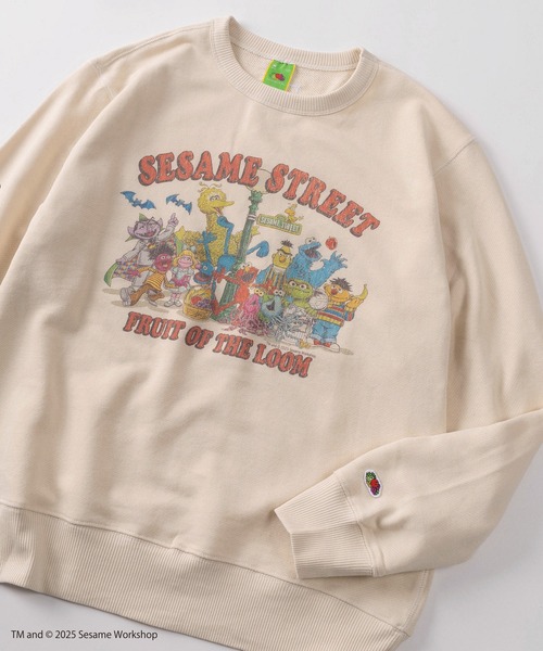FRUIT OF THE LOOM（フルーツオブザルーム）の「【73】【Fruit of the Loom/フルーツオブザルーム】SESAMI STREETコラボ  キャラクターデザイン 裏毛スウェット（スウェット・メンズ・ブラック系その他/グレー/ブルー/ミント/パープル/ブラウン/アイボリー/ブラック・S/M/L）」の2枚目の写真