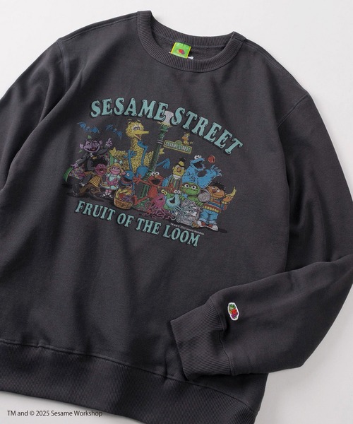 FRUIT OF THE LOOM（フルーツオブザルーム）の「【73】【Fruit of the Loom/フルーツオブザルーム】SESAMI STREETコラボ  キャラクターデザイン 裏毛スウェット（スウェット・メンズ・ブラック系その他/グレー/ブルー/ミント/パープル/ブラウン/アイボリー/ブラック・S/M/L）」の3枚目の写真