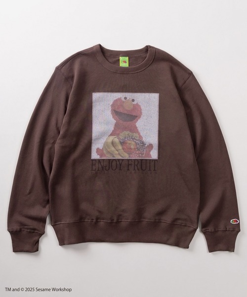 FRUIT OF THE LOOM（フルーツオブザルーム）の「【73】【Fruit of the Loom/フルーツオブザルーム】SESAMI STREETコラボ  キャラクターデザイン 裏毛スウェット（スウェット・メンズ・ブラック系その他/グレー/ブルー/ミント/パープル/ブラウン/アイボリー/ブラック・S/M/L）」の11枚目の写真