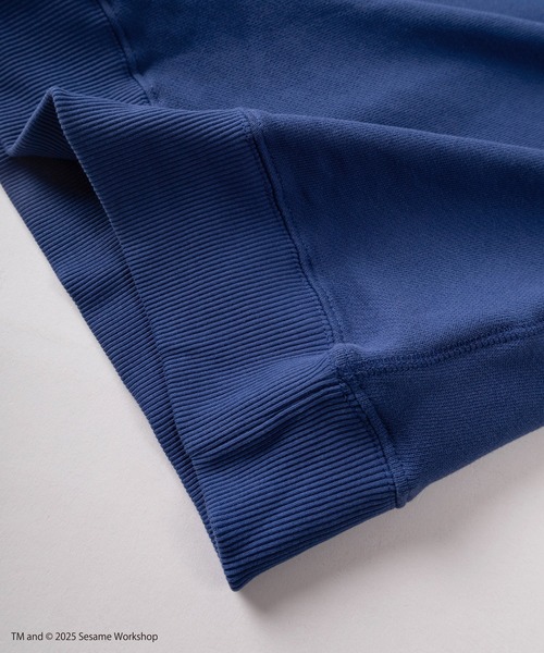 FRUIT OF THE LOOM（フルーツオブザルーム）の「【73】【Fruit of the Loom/フルーツオブザルーム】SESAMI STREETコラボ  キャラクターデザイン 裏毛スウェット（スウェット・メンズ・ブラック系その他/グレー/ブルー/ミント/パープル/ブラウン/アイボリー/ブラック・S/M/L）」の18枚目の写真