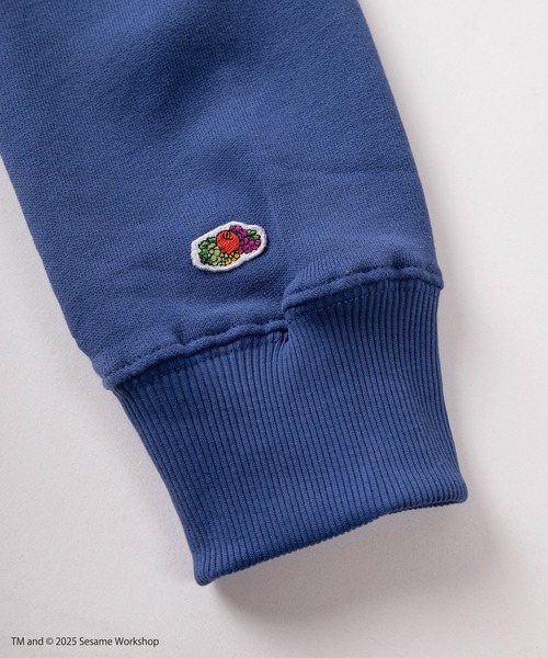 FRUIT OF THE LOOM（フルーツオブザルーム）の「【73】【Fruit of the Loom/フルーツオブザルーム】SESAMI STREETコラボ  キャラクターデザイン 裏毛スウェット（スウェット・メンズ・ブラック系その他/グレー/ブルー/ミント/パープル/ブラウン/アイボリー/ブラック・S/M/L）」の17枚目の写真