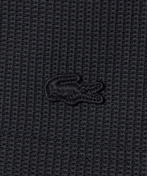 LACOSTE（ラコステ）の「＜LACOSTE for BEAUTY&YOUTH＞ワントーン ショートパンツ（その他パンツ・メンズ・ダークグレー/ブラック/ライトグレー・M/S/L）」の15枚目の写真