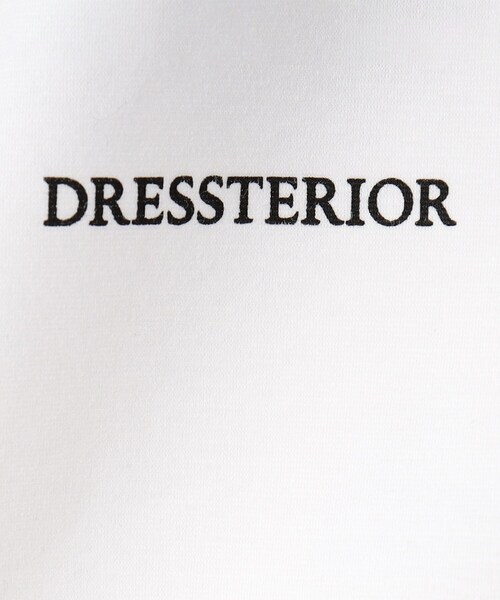 DRESSTERIOR(ドレステリア)の「【接触冷感/UVカット/抗菌防臭/しわ防止】クールデオドラント ロゴTシャツ(Tシャツ/カットソー・メンズ・ライトグレー/ホワイト/ブラック・94/92/91/90)」の17枚目の写真