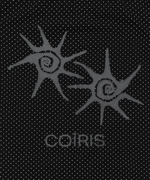 COIRIS（コイリス）の「ソルナドット配色半袖Tシャツ（5カラー）（Tシャツ/カットソー・レディース・ダークブラウン/ホワイト/チャコールグレー/ブラック/ネイビー・FREE）」の12枚目の写真