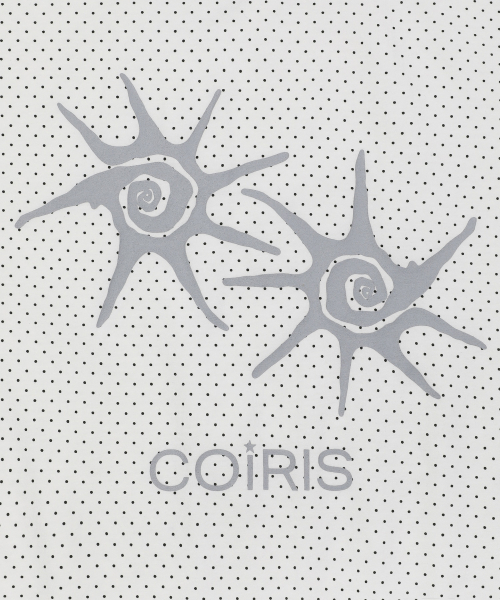 COIRIS（コイリス）の「ソルナドット配色半袖Tシャツ（5カラー）（Tシャツ/カットソー・レディース・ダークブラウン/ホワイト/チャコールグレー/ブラック/ネイビー・FREE）」の16枚目の写真