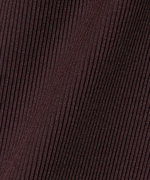 UNITED ARROWS（ユナイテッドアローズ）の「リブ バイカラーパイピング ショートスリーブ Tシャツ（Tシャツ/カットソー・レディース・ダークグレー/ネイビー/オフホワイト/ワイン/ベージュ・FREE）」の19枚目の写真