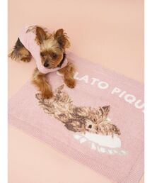 CAT&DOG】マルチーズ柄ブランケット（その他ペットグッズ）｜gelato